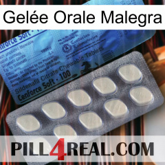 Gelée Orale Malegra 34